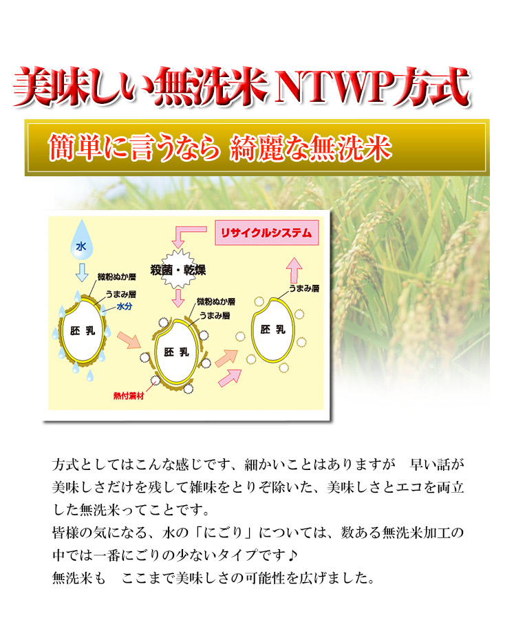 美米屋店長「技」で見極めた