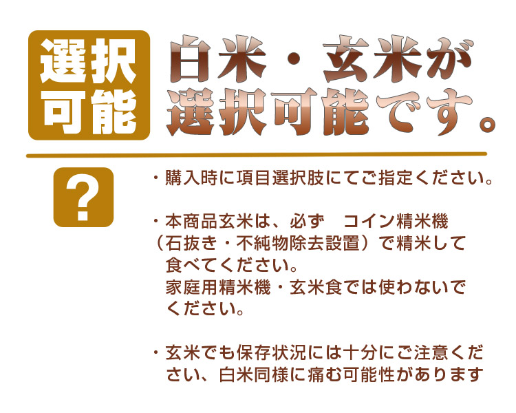 【米・お米・送料込み・通販】検査済み　24年産　1等米 石川県産こしひかり【白米約27kg：玄米30kg】