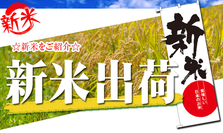 ぴかぴかの 新米出荷