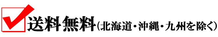 送料無料、送料込み、一部地域除く