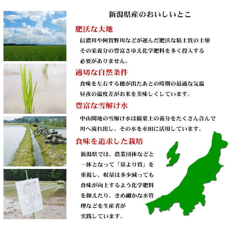 新潟県産の美味しい秘密