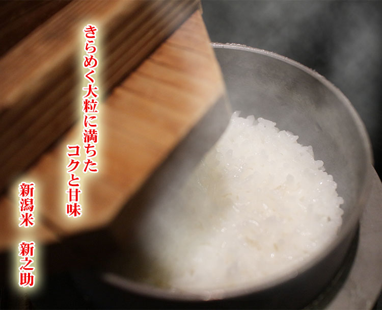 新潟米新之助大粒コク甘味